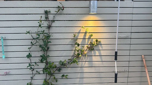 L A Surfacing photo 8