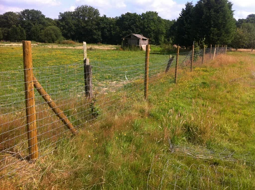 South Surrey Fencing photo 8