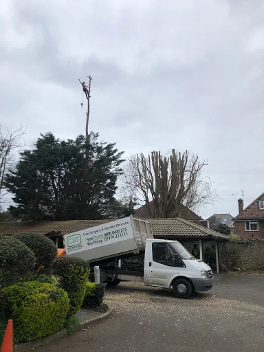 D&amp;T Tree Surgery photo 5