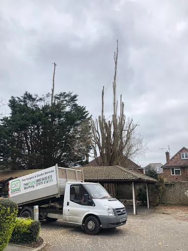 D&amp;T Tree Surgery photo 6