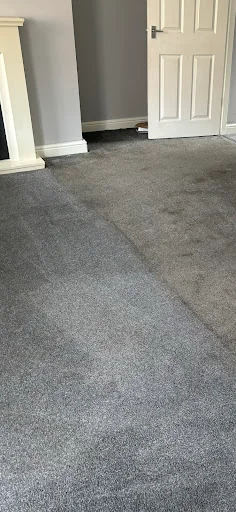 Mark Tait Professional Carpet, Upholstery and Hard Floor Cleaning photo 4