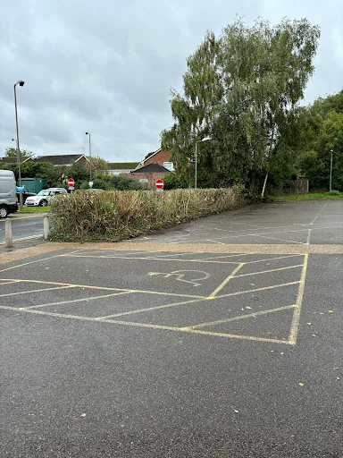 Sussex Tree Specialists photo 3