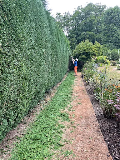 Sussex Tree Specialists photo 6