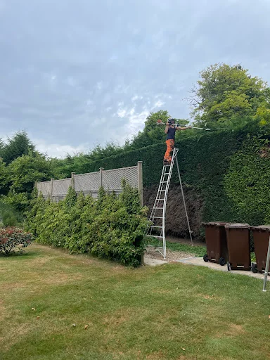 Sussex Tree Specialists photo 7