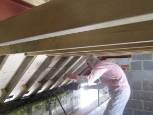 Hampshire Woodworm &amp; Damp photo 3