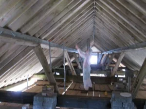 Hampshire Woodworm &amp; Damp photo 4