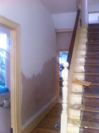 Sparrow Decor photo 6