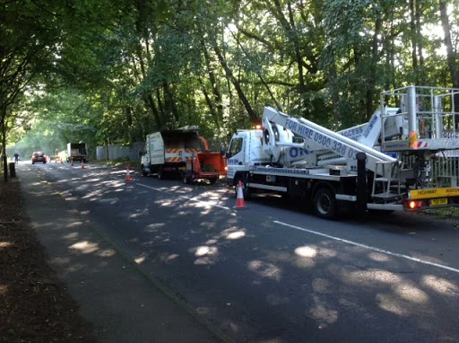 Oaklands Tree Care photo 2