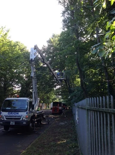Oaklands Tree Care photo 4