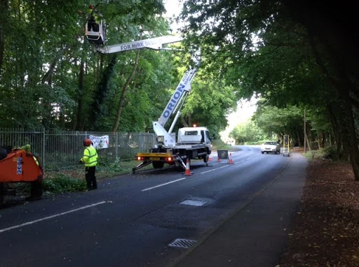 Oaklands Tree Care photo 6