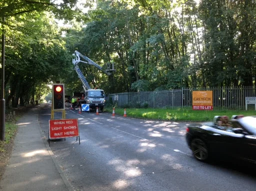 Oaklands Tree Care photo 7