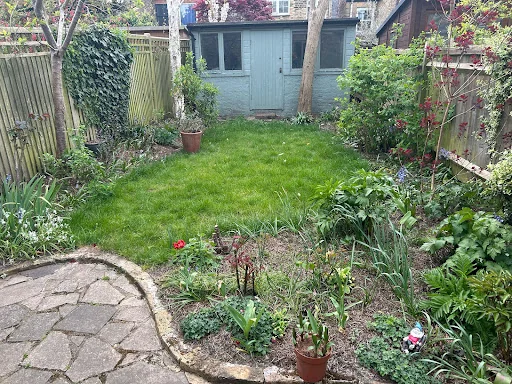 Garden Solutions photo 2