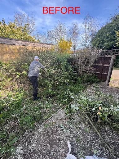 Garden Solutions photo 4