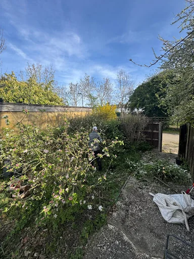 Garden Solutions photo 5