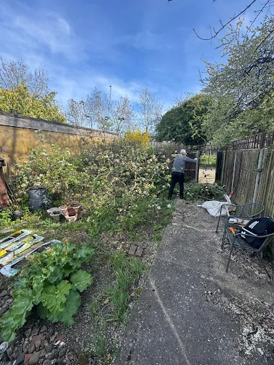 Garden Solutions photo 6