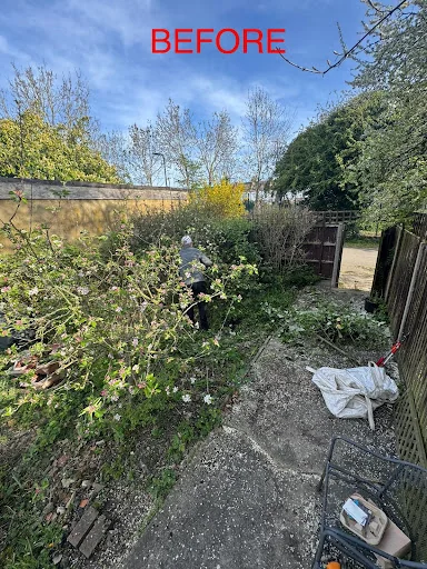 Garden Solutions photo 7