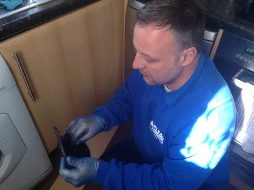 Alclear Pest Control photo 2