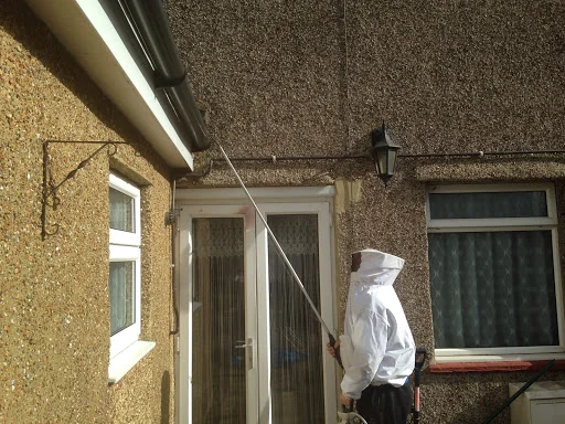 Alclear Pest Control photo 3