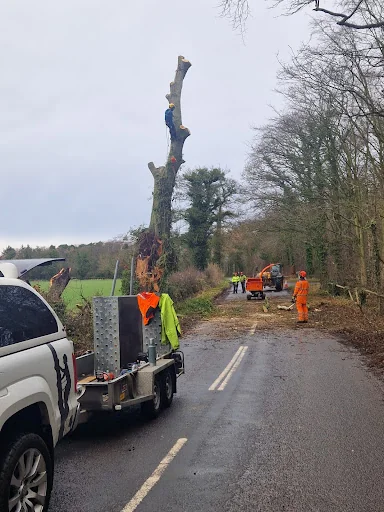 E.G.S Tree Surgery photo 2