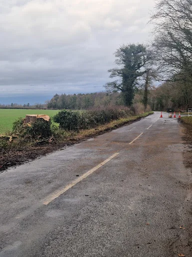 E.G.S Tree Surgery photo 4