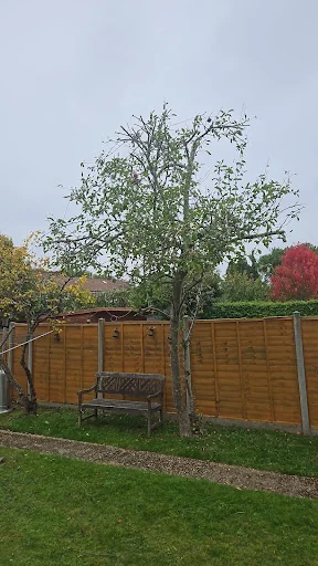 Oaklands Tree Specialists Limited photo 3