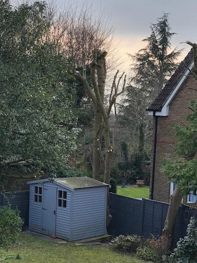 Oaklands Tree Specialists Limited photo 8