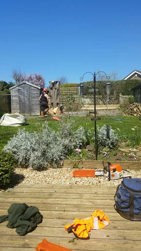 Sussex Tree Fella Ltd photo 2