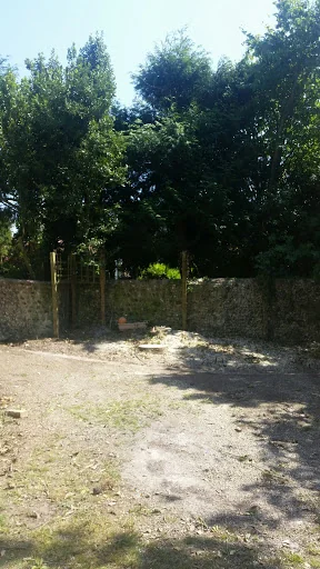 Sussex Tree Fella Ltd photo 4