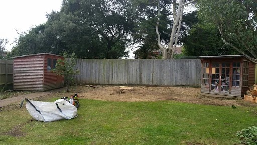 Sussex Tree Fella Ltd photo 7