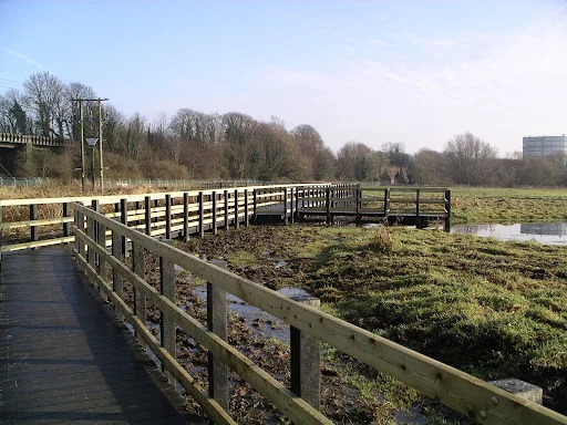 Acacia Landscape photo 3