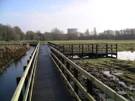 Acacia Landscape photo 4