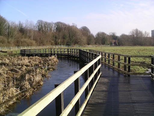 Acacia Landscape photo 5