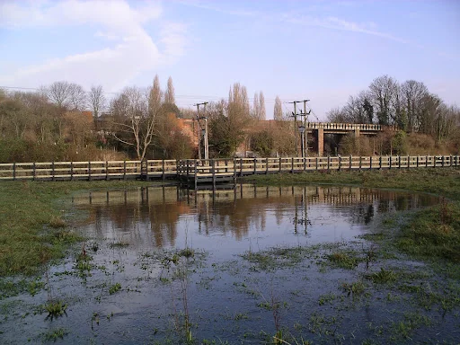 Acacia Landscape photo 6