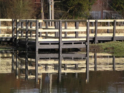 Acacia Landscape photo 7