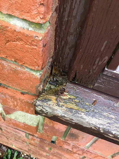 The Winchester Handyman photo 2