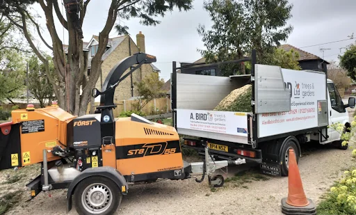 A. Bird Tree Surgery Ltd photo 1