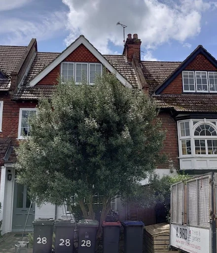 A. Bird Tree Surgery Ltd photo 3