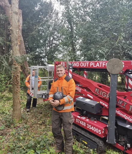 A. Bird Tree Surgery Ltd photo 8