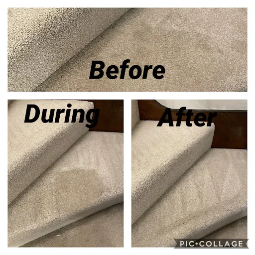 SG Carpet Cleaning Specialist photo 1