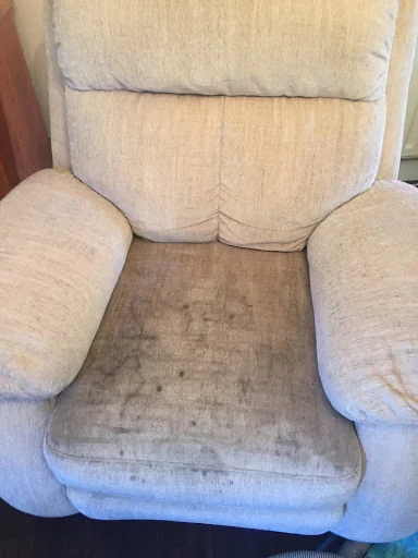 SG Carpet Cleaning Specialist photo 5