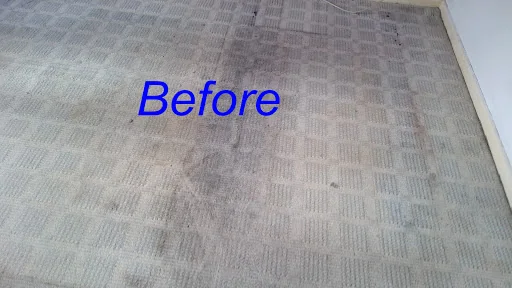 SG Carpet Cleaning Specialist photo 7