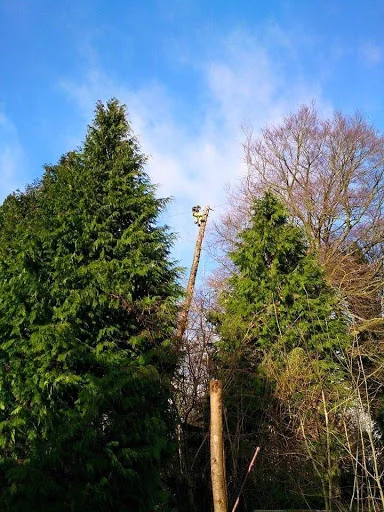 Green Frontiers Garden Care Ltd photo 1