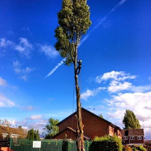 Green Frontiers Garden Care Ltd photo 3