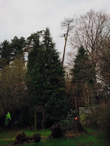 Green Frontiers Garden Care Ltd photo 4