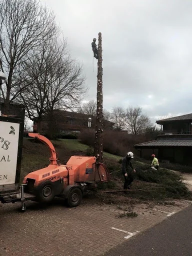 Green Frontiers Garden Care Ltd photo 5