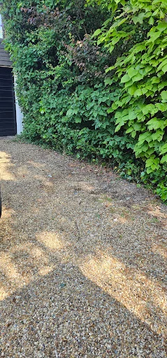 Man &amp; Van on the Move photo 7