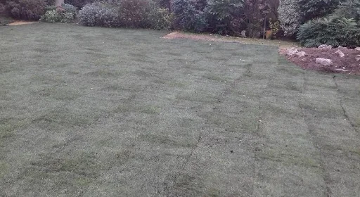 MJE Gardening &amp; Maintenance Services photo 7