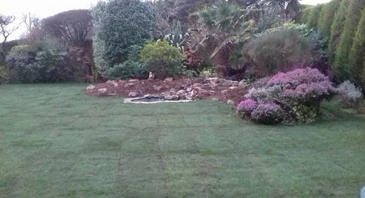 MJE Gardening &amp; Maintenance Services photo 8