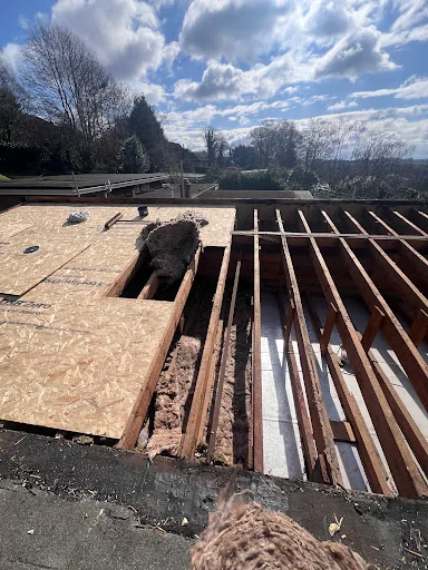 A Edwards Roofing Limited photo 8