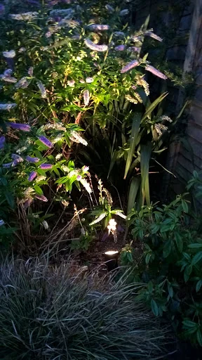 Bialo Electrical Ltd photo 8